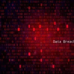 Data Leakage and Exposure